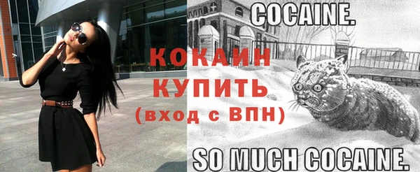 меф Коряжма